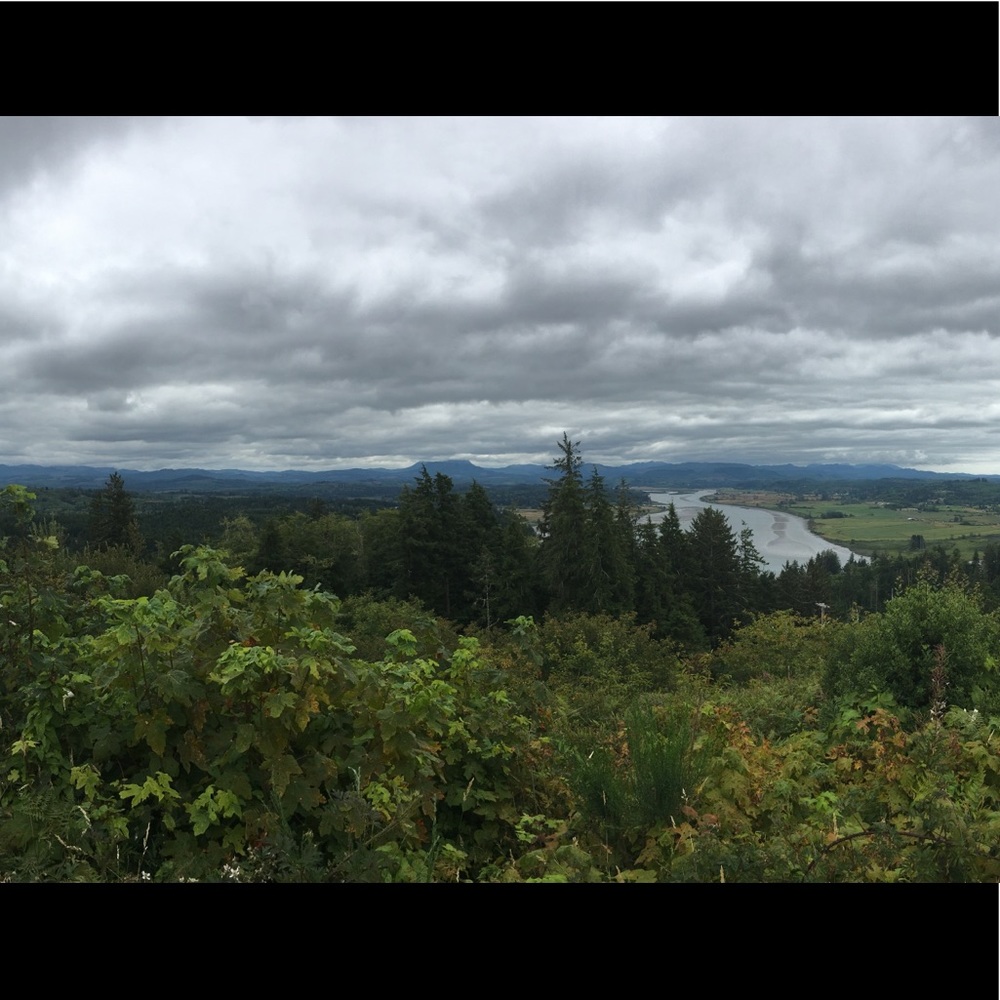 Meet your Posher, Ari